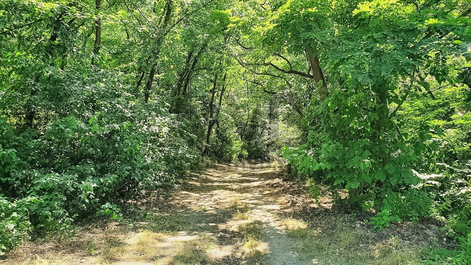 STAVEBNÝ POZEMOK DÉL-KOMÁROM (MAĎARSKO) — fotografia