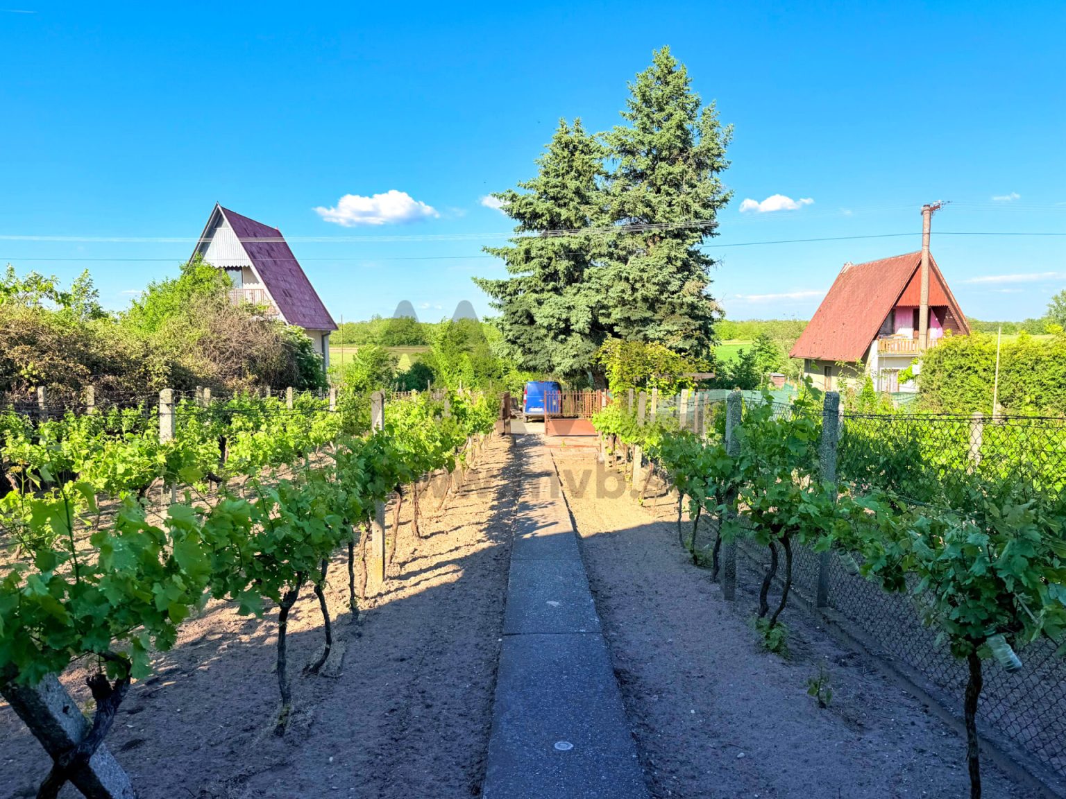 VÍNNA PIVNICA V SRDCI VINOHRADNÍCKEJ OBLASTI CINKOT | MARCELOVÁ — fotografia