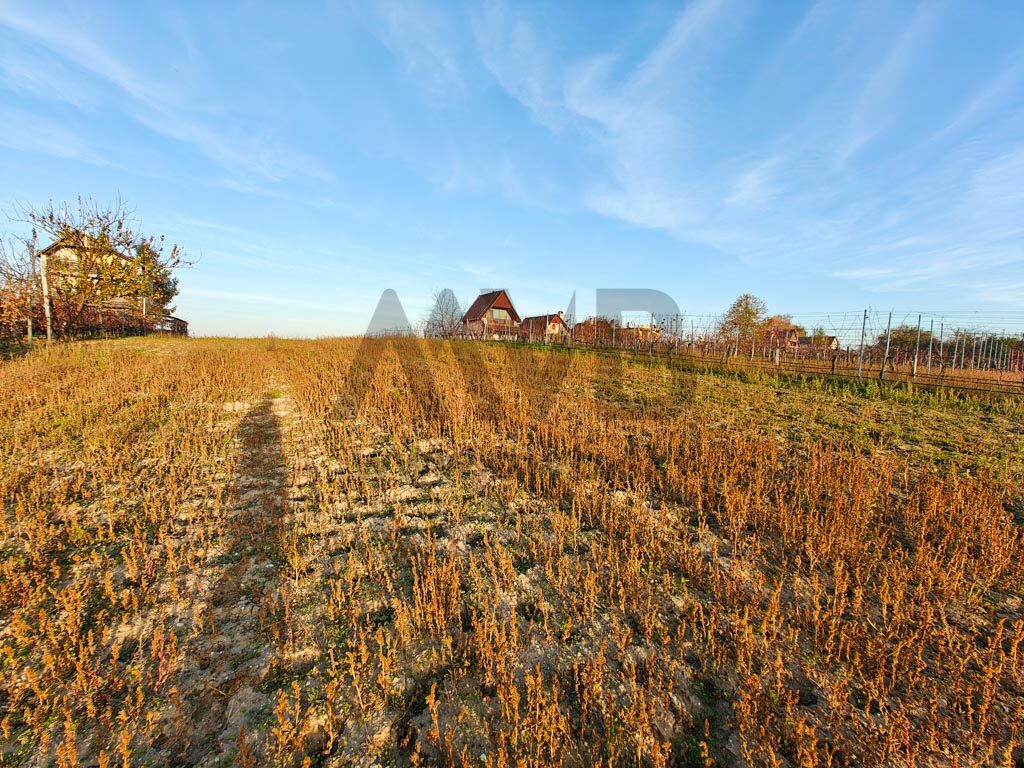 ROZĽAHLÝ POZEMOK S ROZLOHOU VIAC AKO 30 ÁROV | OKRES KOMÁRNO — fotografia