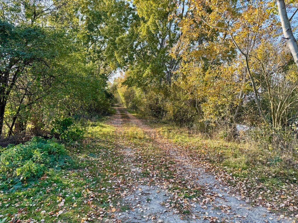TICHÉ MIESTO NA VAŠE VYSNÍVANÉ BÝVANIE – 13 ÁROVÝ POZEMOK PRI KOMÁRNE S VÝHĽADOM NA JAZIERKO — fotografia