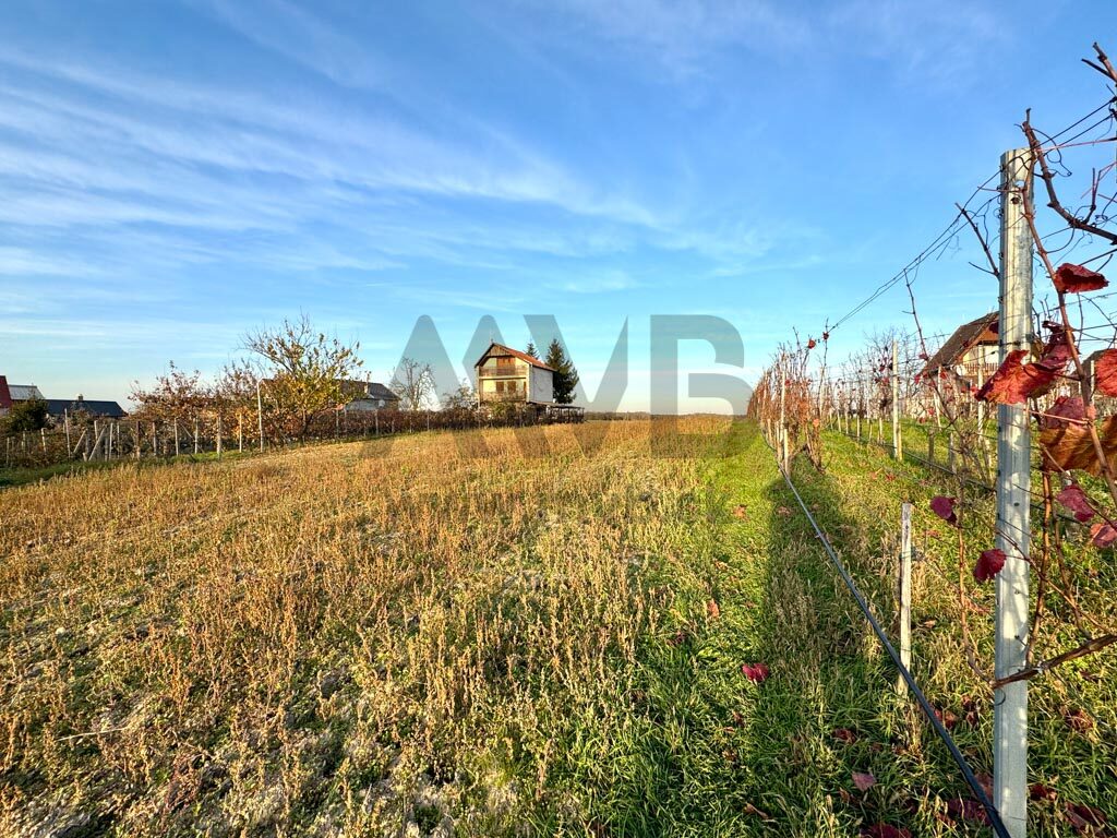 ROZĽAHLÝ POZEMOK S ROZLOHOU VIAC AKO 30 ÁROV | OKRES KOMÁRNO — fotografia
