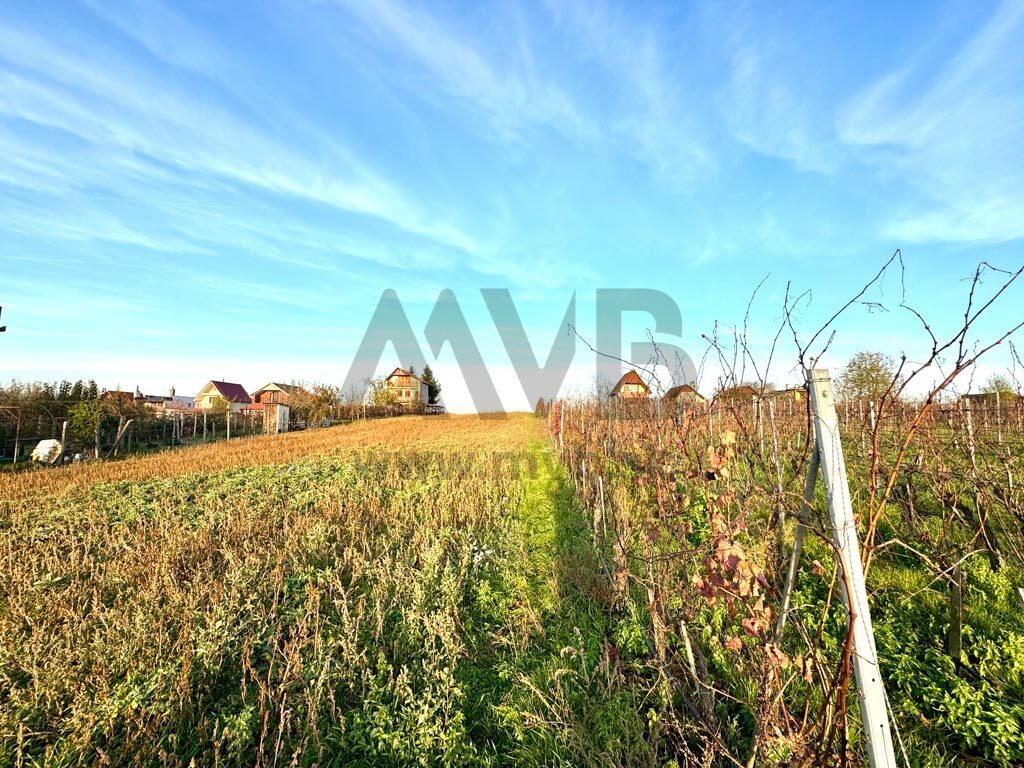 ROZĽAHLÝ POZEMOK S ROZLOHOU VIAC AKO 30 ÁROV | OKRES KOMÁRNO — fotografia